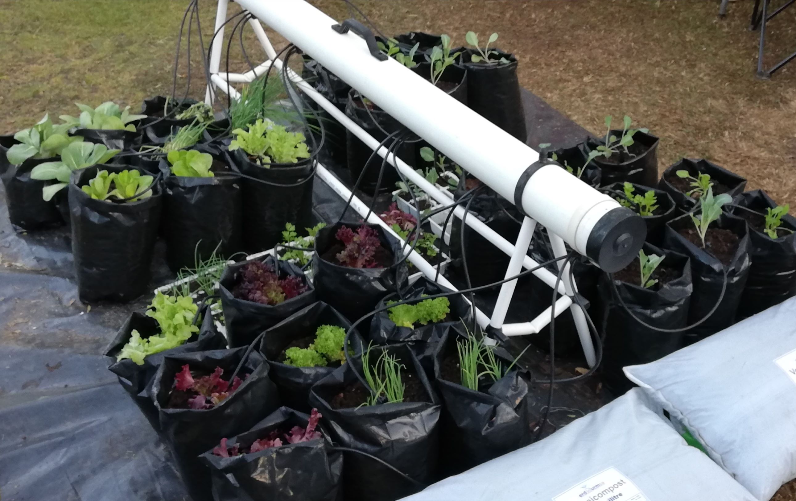 instant-vegetableherb-garden-with-low-pressure-drip-irrigation-system
